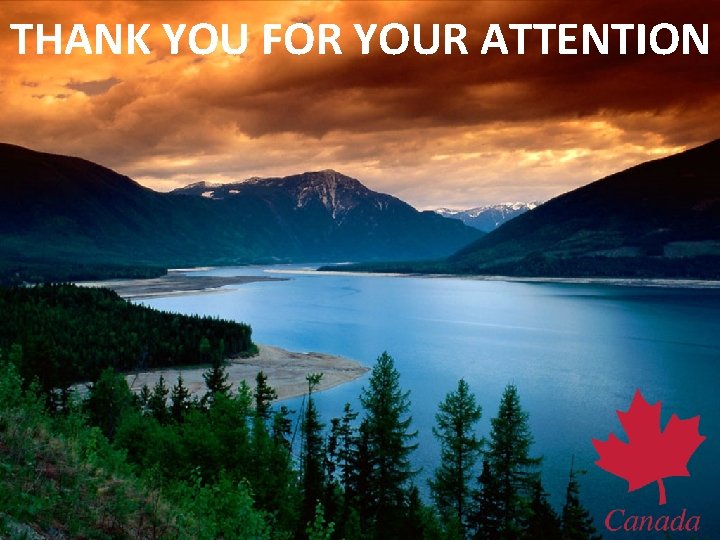 THANK YOU FOR YOUR ATTENTION 