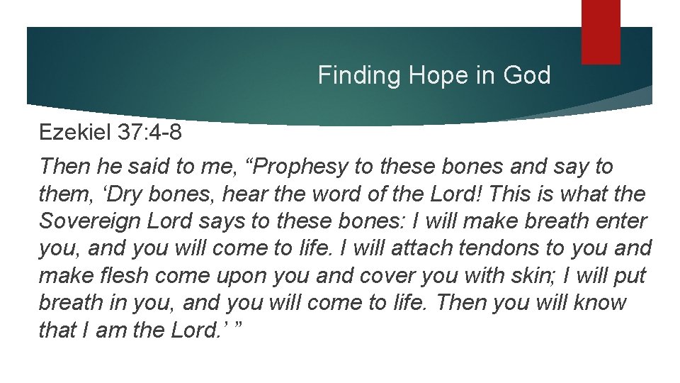 Finding Hope in God Ezekiel 37: 4 -8 Then he said to me, “Prophesy