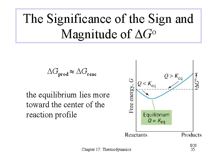 The Significance of the Sign and Magnitude of DGo DGprod DGreac the equilibrium lies