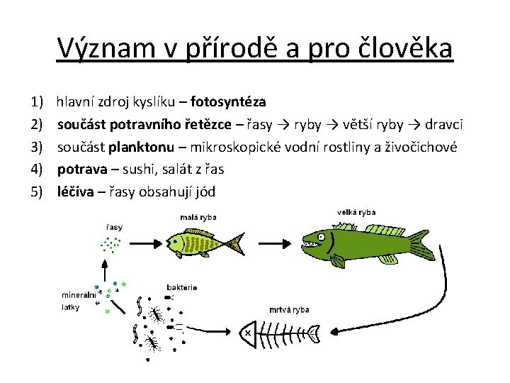 Význam v přírodě a pro člověka 1) 2) 3) 4) 5) hlavní zdroj kyslíku