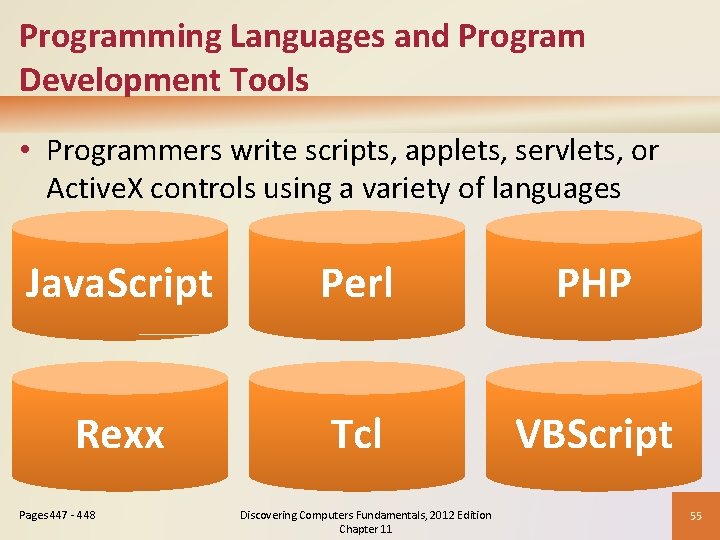 Programming Languages and Program Development Tools • Programmers write scripts, applets, servlets, or Active.