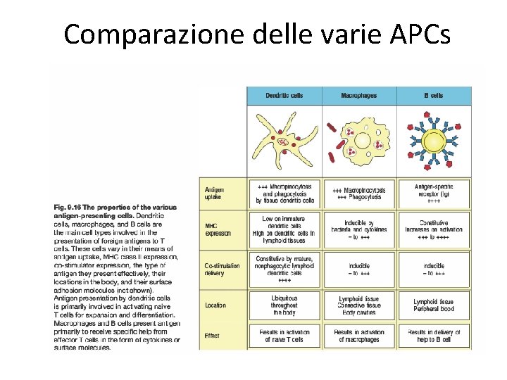 Comparazione delle varie APCs 