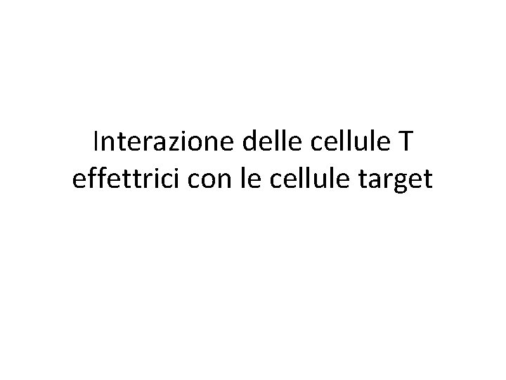 Interazione delle cellule T effettrici con le cellule target 