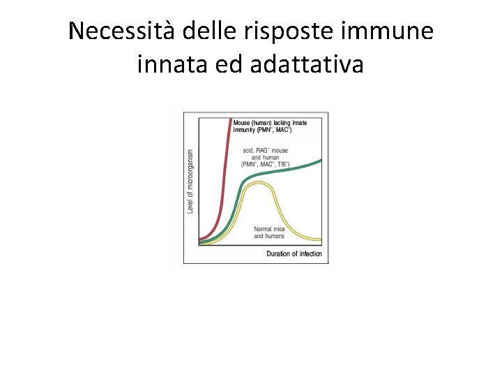 Necessità delle risposte immune innata ed adattativa 