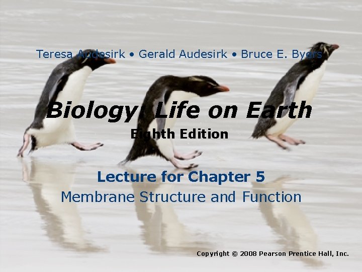 Teresa Audesirk • Gerald Audesirk • Bruce E. Byers Biology: Life on Earth Eighth