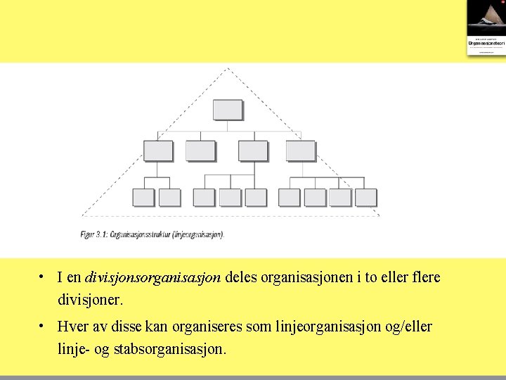  • I en divisjonsorganisasjon deles organisasjonen i to eller flere divisjoner. • Hver