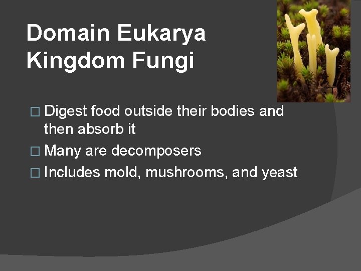 Domain Eukarya Kingdom Fungi � Digest food outside their bodies and then absorb it