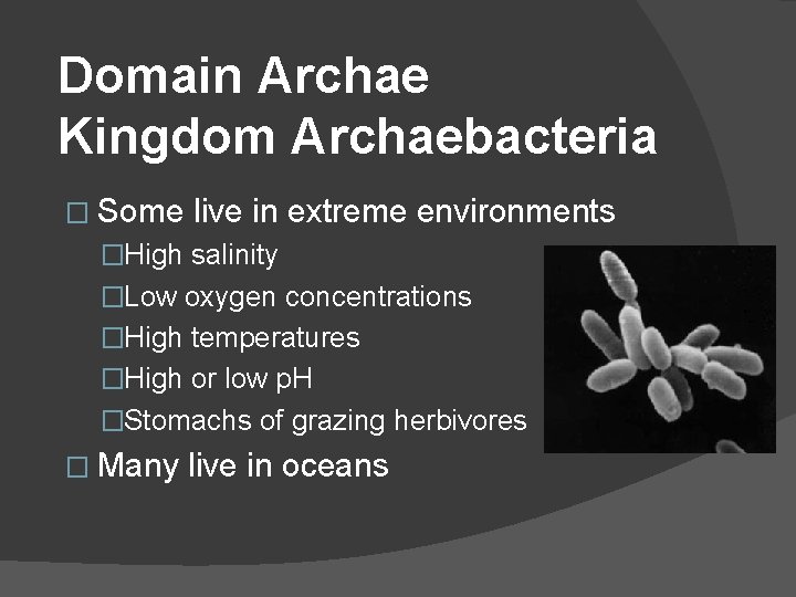 Domain Archae Kingdom Archaebacteria � Some live in extreme environments �High salinity �Low oxygen