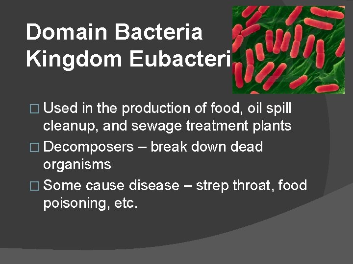 Domain Bacteria Kingdom Eubacteria � Used in the production of food, oil spill cleanup,