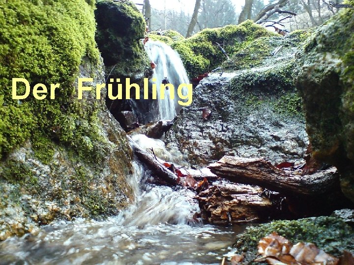 Der Frühling 