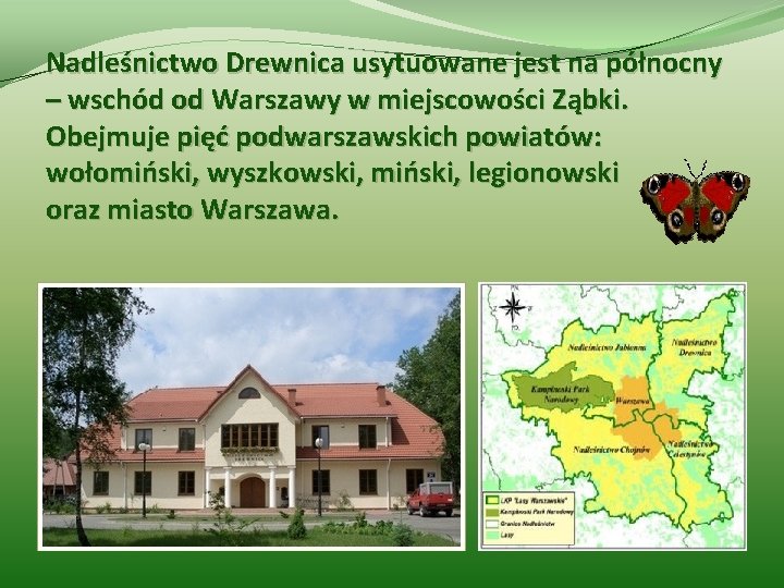 Nadleśnictwo Drewnica usytuowane jest na północny – wschód od Warszawy w miejscowości Ząbki. Obejmuje