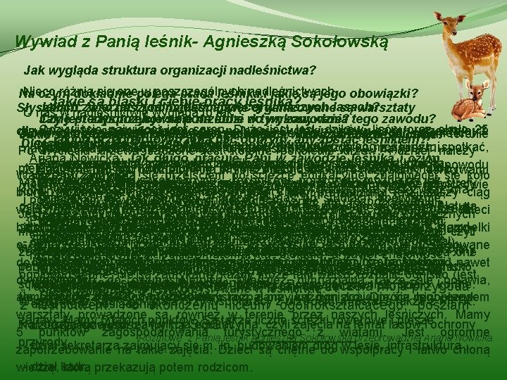 Wywiad z Panią leśnik- Agnieszką Sokołowską Jak wygląda struktura organizacji nadleśnictwa? Nieco różnią się