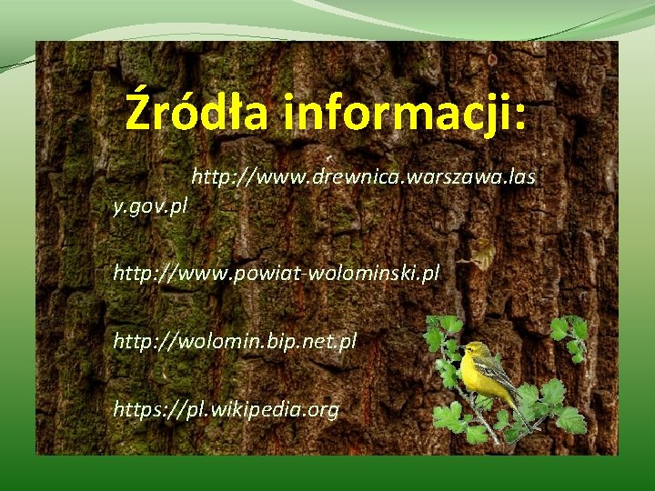 Źródła informacji: y. gov. pl http: //www. drewnica. warszawa. las http: //www. powiat-wolominski. pl