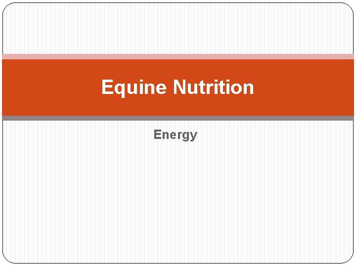 Equine Nutrition Energy 