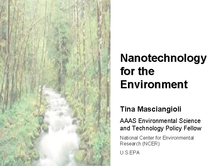 Nanotechnology for the Environment Tina Masciangioli AAAS Environmental Science and Technology Policy Fellow National