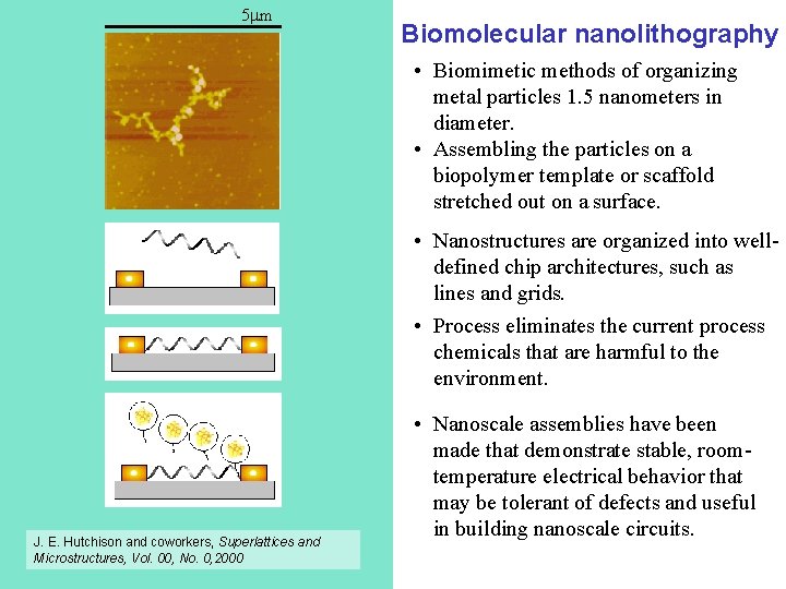 5 mm Biomolecular nanolithography • Biomimetic methods of organizing metal particles 1. 5 nanometers