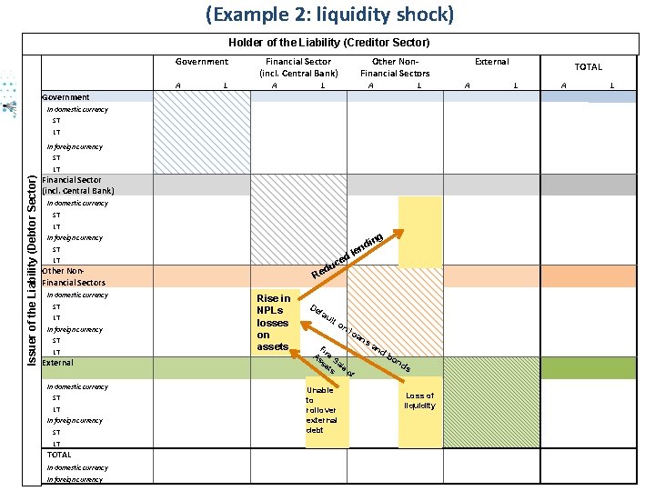 (Example 2: liquidity shock) Government Finance Division IMF Statistics Department Holder of the Liability
