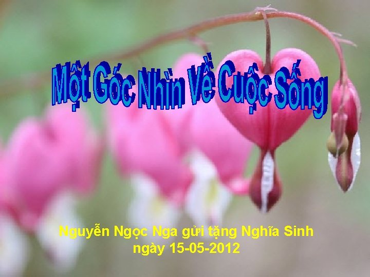 Nguyễn Ngọc Nga gửi tặng Nghĩa Sinh ngày 15 -05 -2012 
