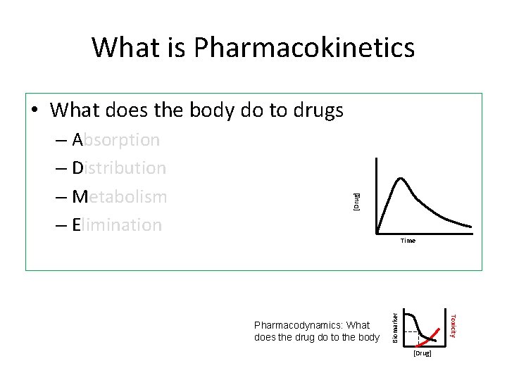 What is Pharmacokinetics Time Toxicity Pharmacodynamics: What does the drug do to the body