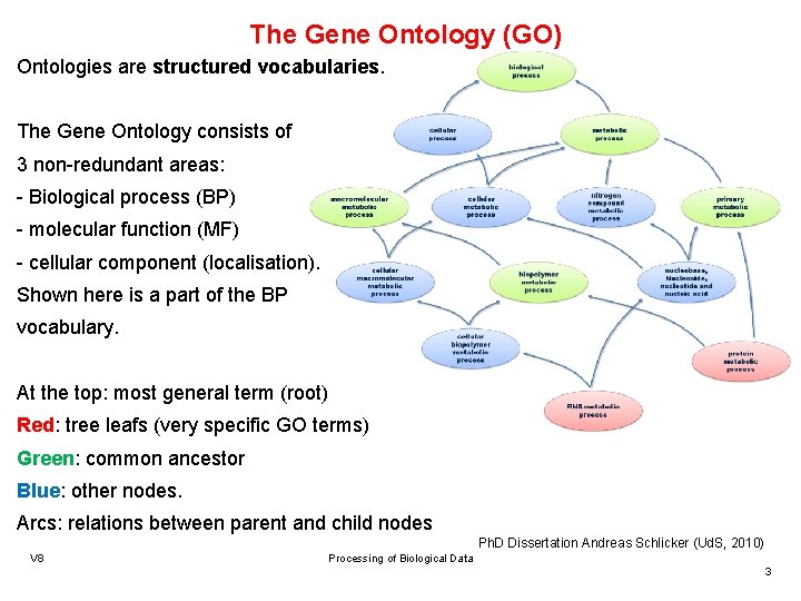 The Gene Ontology (GO) Ontologies are structured vocabularies. The Gene Ontology consists of 3
