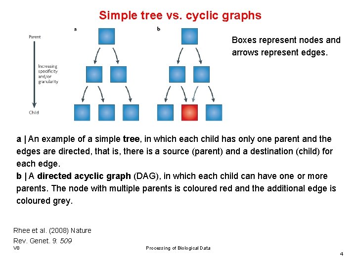 Simple tree vs. cyclic graphs Boxes represent nodes and arrows represent edges. a |