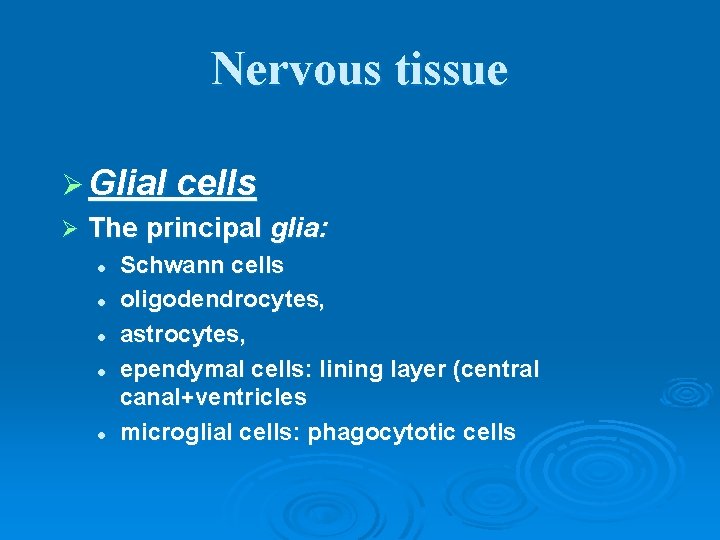 Nervous tissue Ø Glial cells Ø The principal glia: l l l Schwann cells