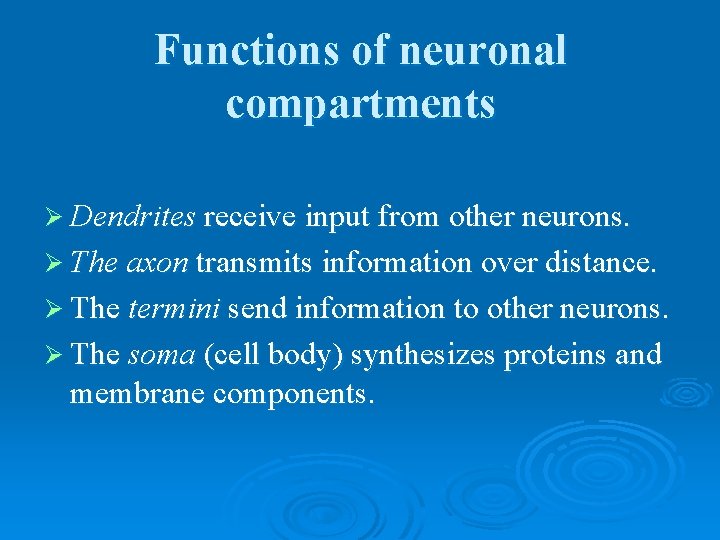 Functions of neuronal compartments Ø Dendrites receive input from other neurons. Ø The axon
