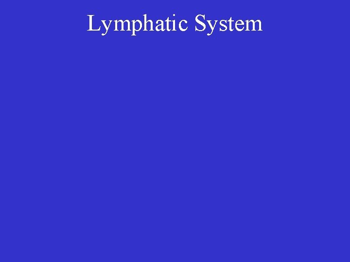 Lymphatic System 