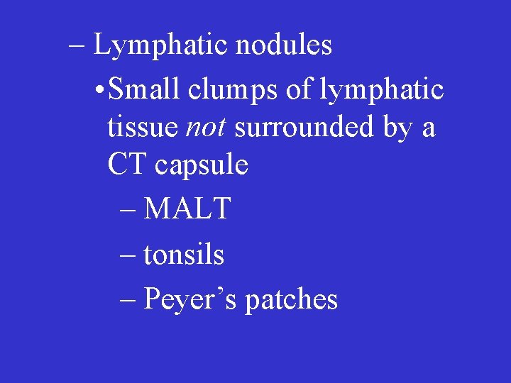– Lymphatic nodules • Small clumps of lymphatic tissue not surrounded by a CT