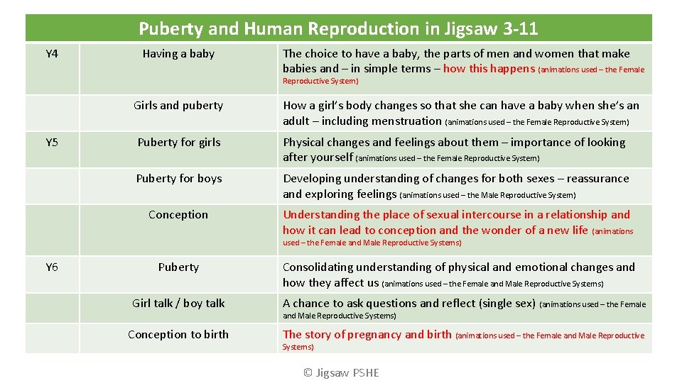 Puberty and Human Reproduction in Jigsaw 3 -11 Y 4 Having a baby The