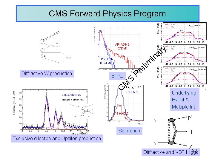 CMS Forward Physics Program ARIADNE (CDM) PYTHIA (DGLAP) Diffractive W production BFKL S im