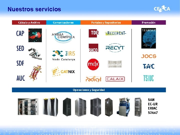 Nuestros servicios 