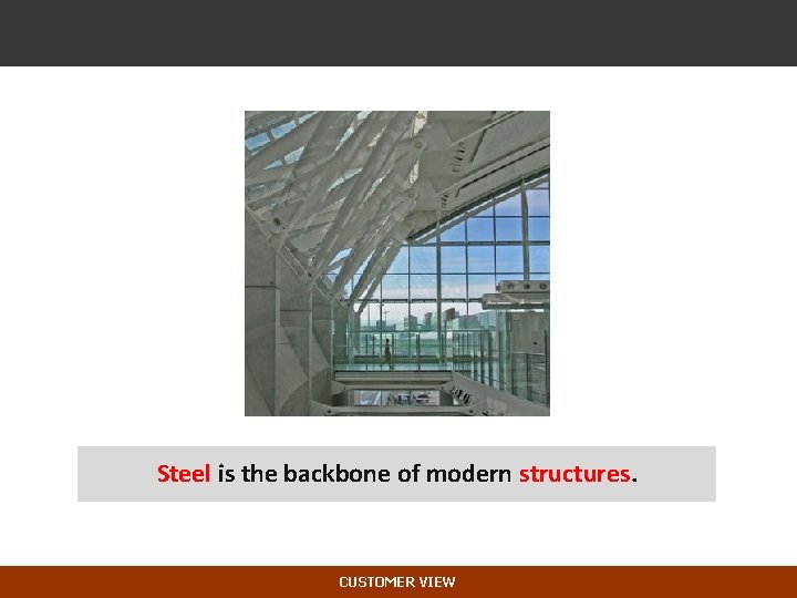 Steel is the backbone of modern structures. CUSTOMER VIEW 