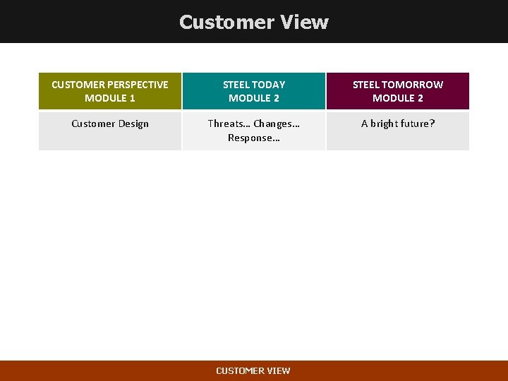 Customer View CUSTOMER PERSPECTIVE MODULE 1 STEEL TODAY MODULE 2 STEEL TOMORROW MODULE 2