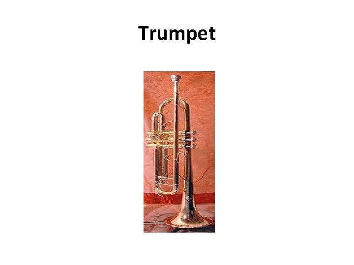 Trumpet 