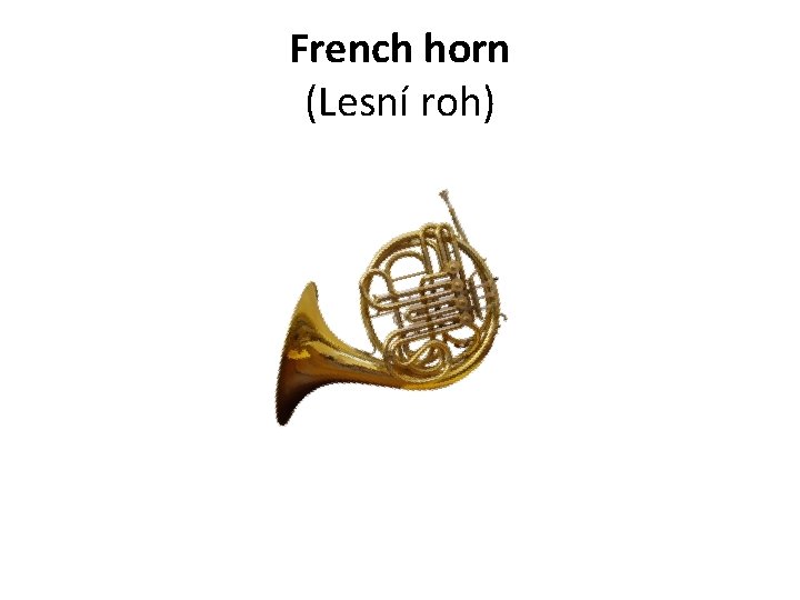 French horn (Lesní roh) 