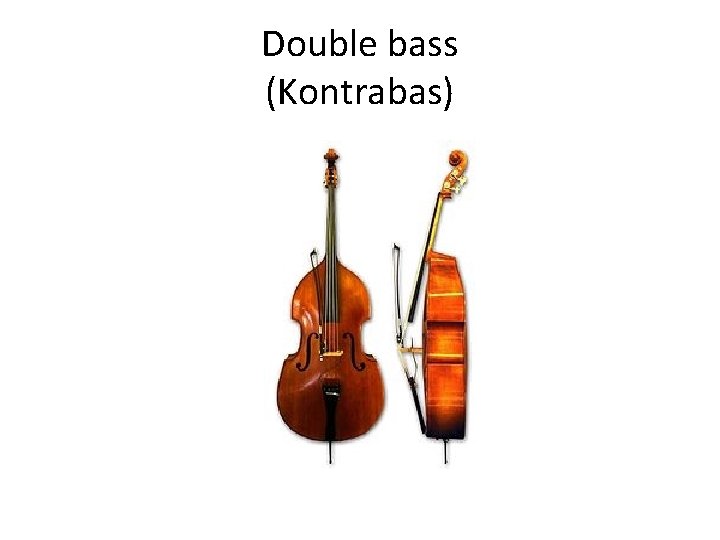 Double bass (Kontrabas) 