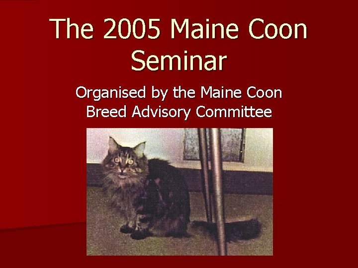 The 2005 Maine Coon Seminar Organised by the Maine Coon Breed Advisory Committee 
