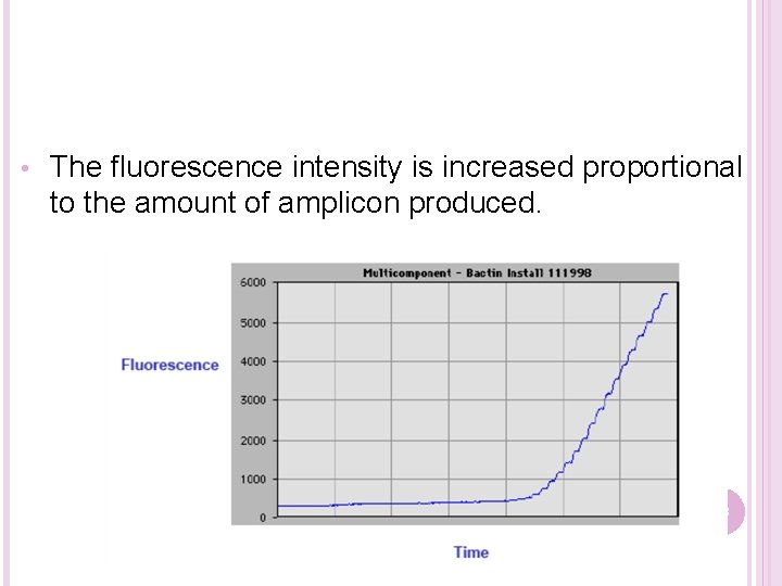  • The fluorescence intensity is increased proportional to the amount of amplicon produced.