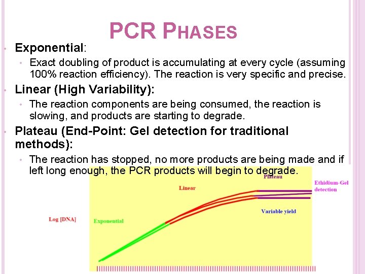  • Exponential: • • Exact doubling of product is accumulating at every cycle