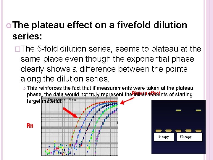  The plateau effect on a fivefold dilution series: �The 5 -fold dilution series,