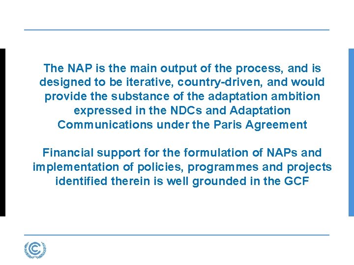 The NAP is the main output of the process, and is designed to be