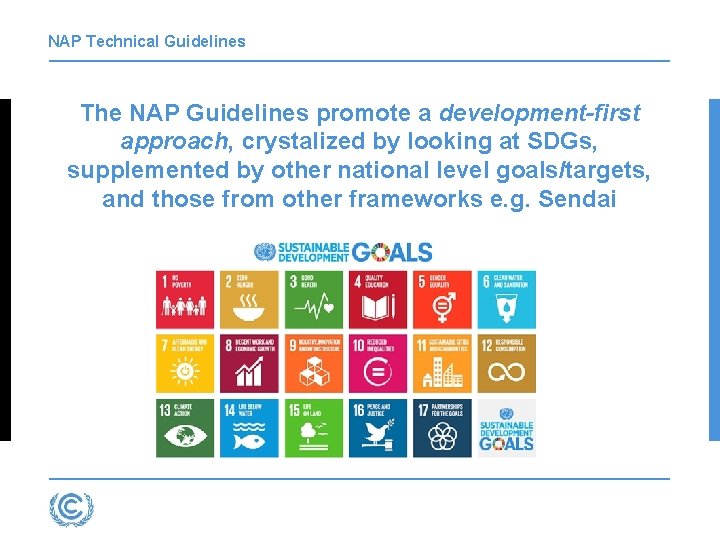 NAP Technical Guidelines The NAP Guidelines promote a development-first approach, crystalized by looking at