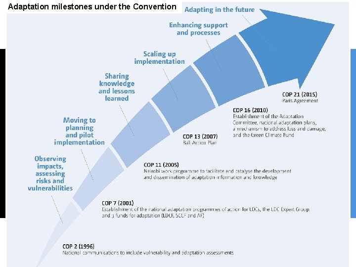 Adaptation milestones under the Convention 