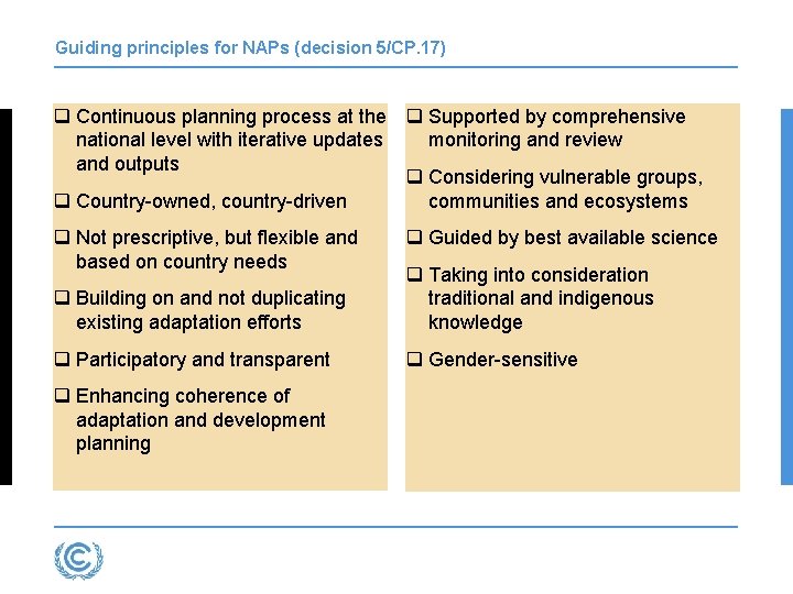 Guiding principles for NAPs (decision 5/CP. 17) q Continuous planning process at the q