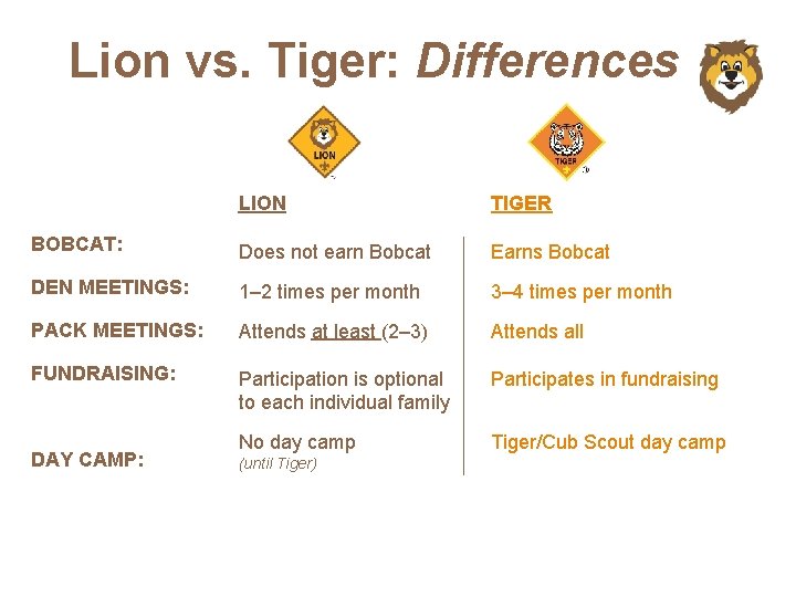 Lion vs. Tiger: Differences LION TIGER BOBCAT: Does not earn Bobcat Earns Bobcat DEN