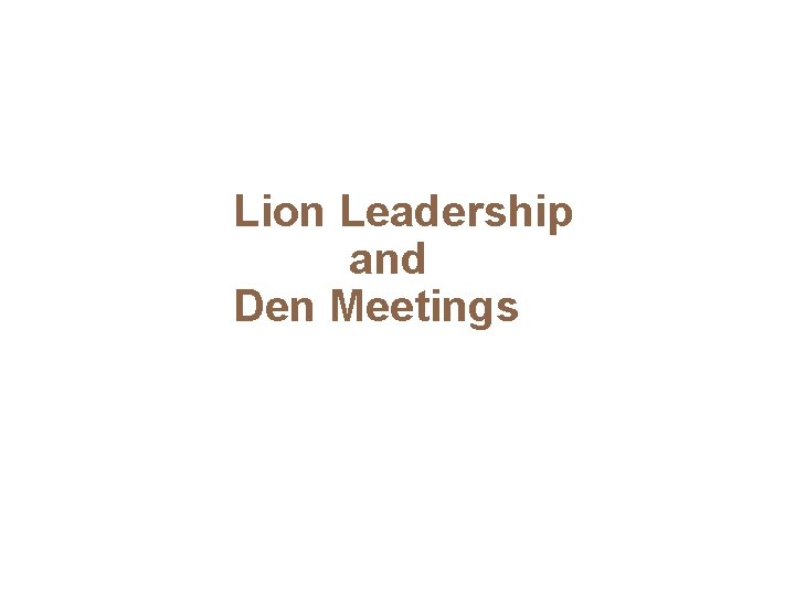 Lion Leadership and Den Meetings 