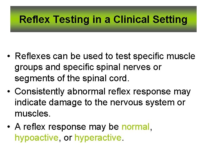Reflex Testing in a Clinical Setting • Reflexes can be used to test specific