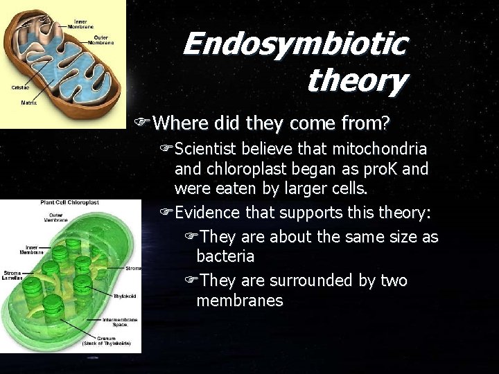 Endosymbiotic theory FWhere did they come from? FScientist believe that mitochondria and chloroplast began