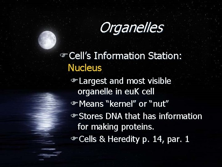 Organelles FCell’s Information Station: Nucleus FLargest and most visible organelle in eu. K cell